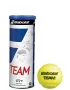 Babolat Team (3 pcs.) - tennis balls