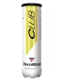 Tecnifibre Club (4 pcs.) - tennis balls