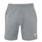 Tecnifibre Team Short Silver