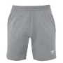 Tecnifibre Team Short Silver