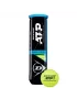Dunlop ATP Championship (4 pcs.) - tennis balls