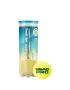 Head Pro (3 pcs.) - tennis balls