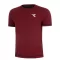 Diadora SS T-Shirt Icon Stratouno Maroon Banner