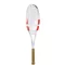 Babolat Pure Strike 97 - tennis racket