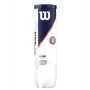 Wilson Roland Garros All Court (4 pcs.) - tennis balls