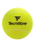 Tecnifibre Big Autograph Ball