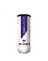 Tecnifibre Champion (3 pcs.) - tennis balls